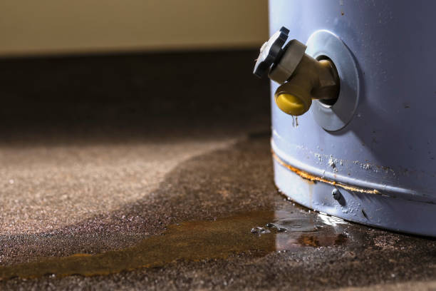 Best Carpet water damage restoration  in Milroy, PA