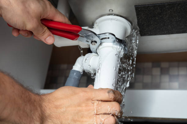 Best Mold removal after water damage  in Milroy, PA