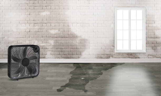 Best Water damage restoration near me  in Milroy, PA