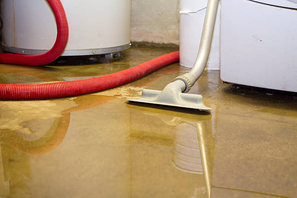 Best Local water damage restoration  in Milroy, PA