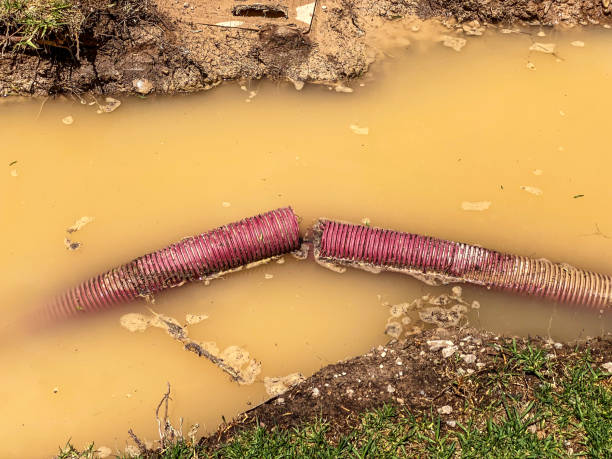 Best 24/7 water damage repair  in Milroy, PA