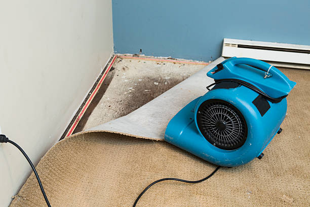 Best Water damage restoration near me  in Milroy, PA